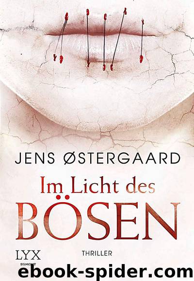 Im Licht des Bösen by Östergaard Jens