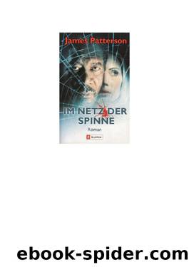 Im Netz der Spinne (= Morgen Kinder wird's was geben) by James Patterson