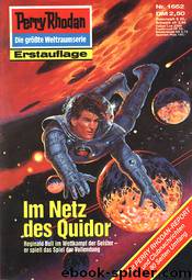 Im Netz des Quidor by Susan Schwartz