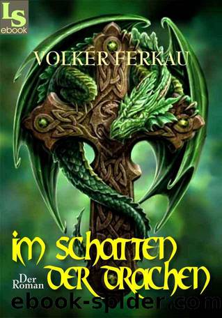 Im Schatten Der Drachen: Der Roman by Volker Ferkau