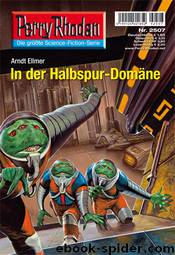 In der Halbspur-Domäne by Arndt Ellmer