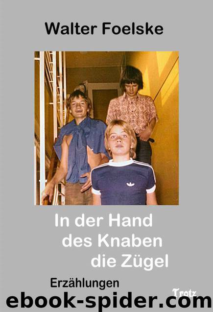 In der Hand des Knaben die Zügel (German Edition) by Foelske Walter