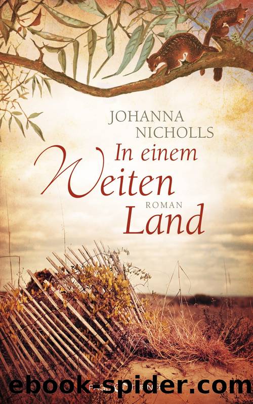 In einem weiten Land by Nicholls Johanna