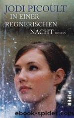 In einer regnerischen Nacht by Picoult Jodi