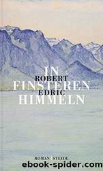 In finsteren Himmeln by Robert Edric