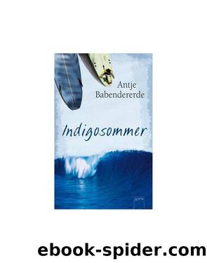 Indigosommer by Antje Babendererde