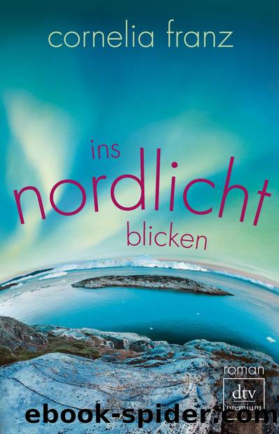 Ins Nordlicht blicken by Cornelia Franz