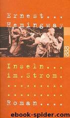 Inseln im Strom by Ernest Hemingway