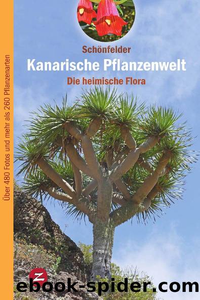 Kanarische Pflanzenwelt by Schönfelder