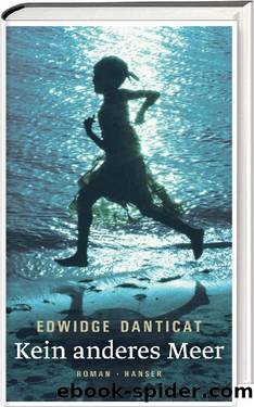 Kein anderes Meer by Danticat Edwidge