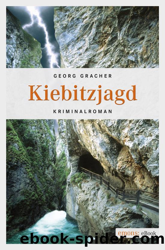 Kiebitzjagd by Gracher Georg