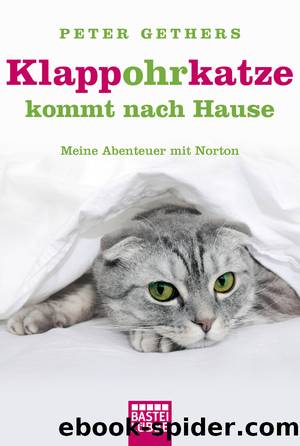 Klappohrkatze kommt nach Hause - meine Abenteuer mit Norton by Bastei Lübbe