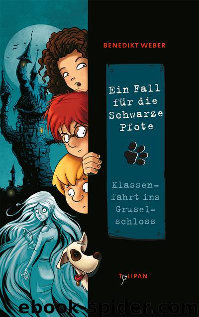 Klassenfahrt ins Gruselschloss - Ein Fall für die Schwarze Pfote ; 7 by Tulipan Verlag