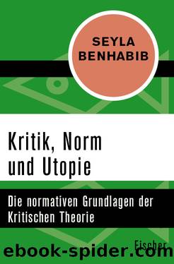 Kritik, Norm und Utopie. Die normativen Grundlagen der Kritischen Theorie by Seyla Benhabib