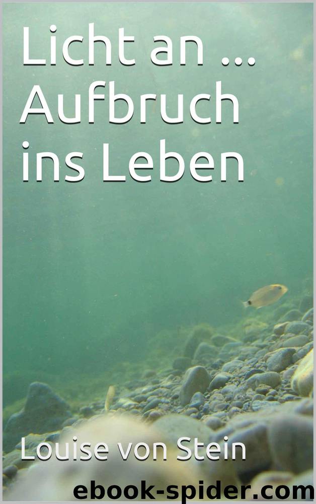 Licht an ... Aufbruch ins Leben (German Edition) by Louise von Stein