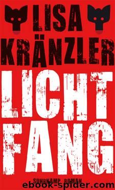 Lichtfang by Kraenzler Lisa