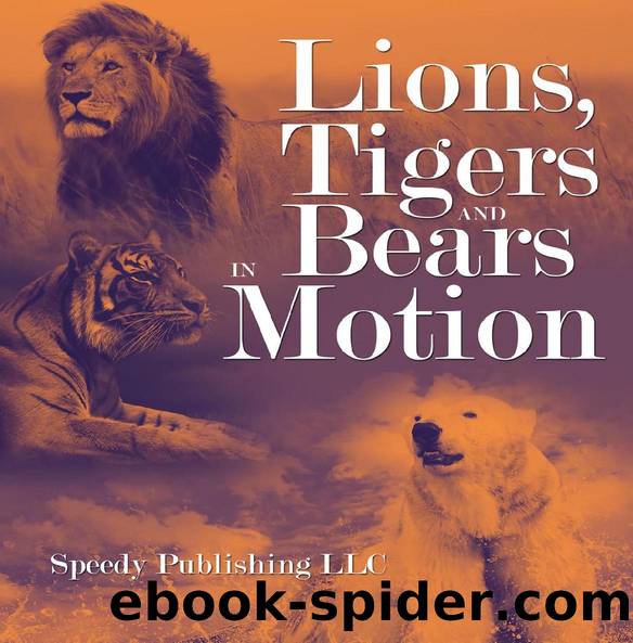 Lions, Tigers And Bears In Motion by Speedy Publishing