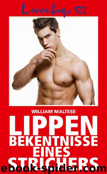 Lippenbekenntnisse eines Strichers by William Maltese