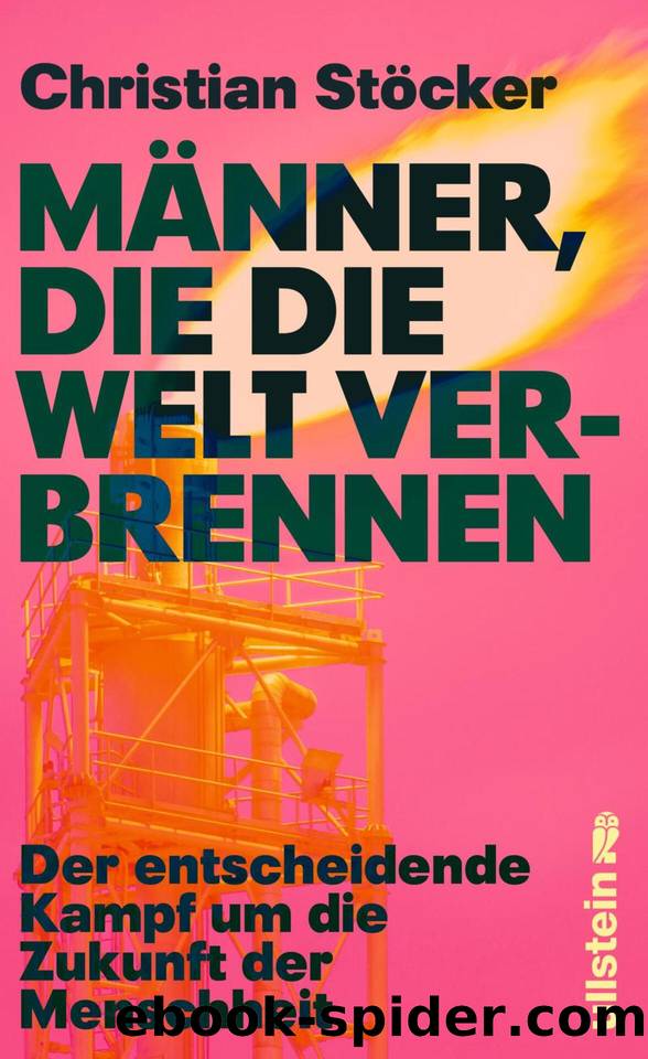 MÃ¤nner, die die Welt verbrennen by Stöcker Christian