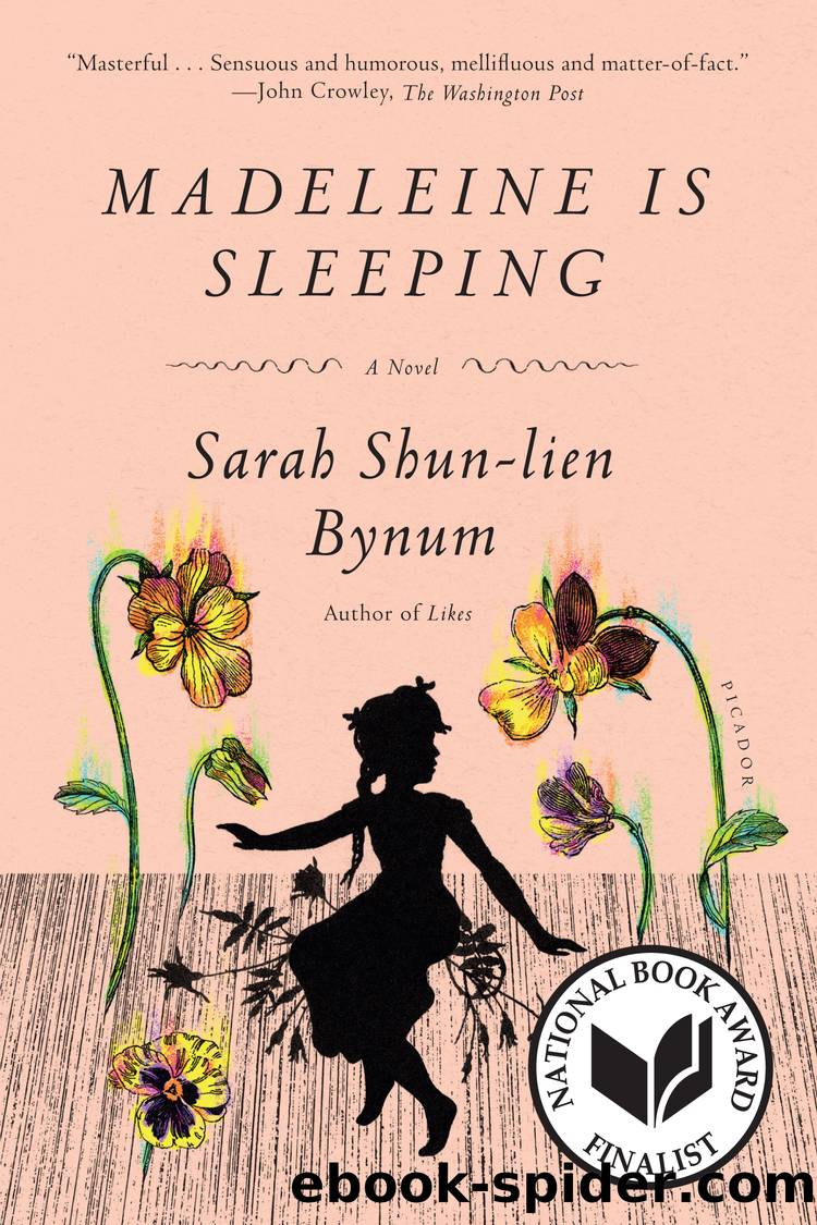 Madeleine Is Sleeping by Sarah Shun-lien Bynum