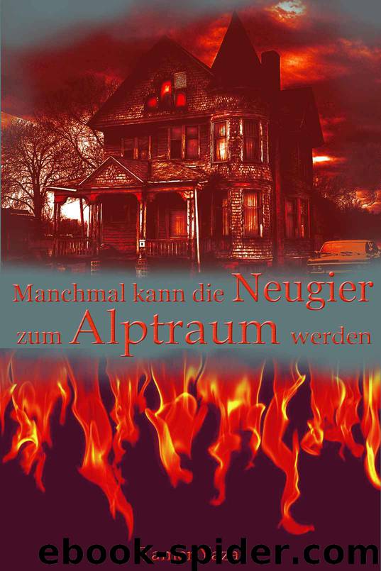 Manchmal kann die Neugier zum Alptraum werden (German Edition) by Yazar Tamer