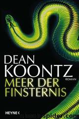 Meer Der Finsternis by Dean R. Koontz