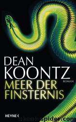 Meer Der Finsternis: Roman by Dean Koontz;Bernhard Kleinschmidt