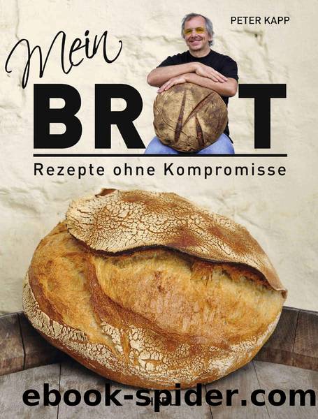 Mein Brot: Rezepte ohne Kompromisse (German Edition) by Kapp Peter