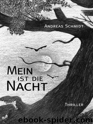 Mein ist die Nacht by Andreas Schmidt