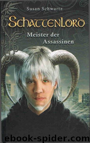 Meister der Assassinen by Susan Schwartz