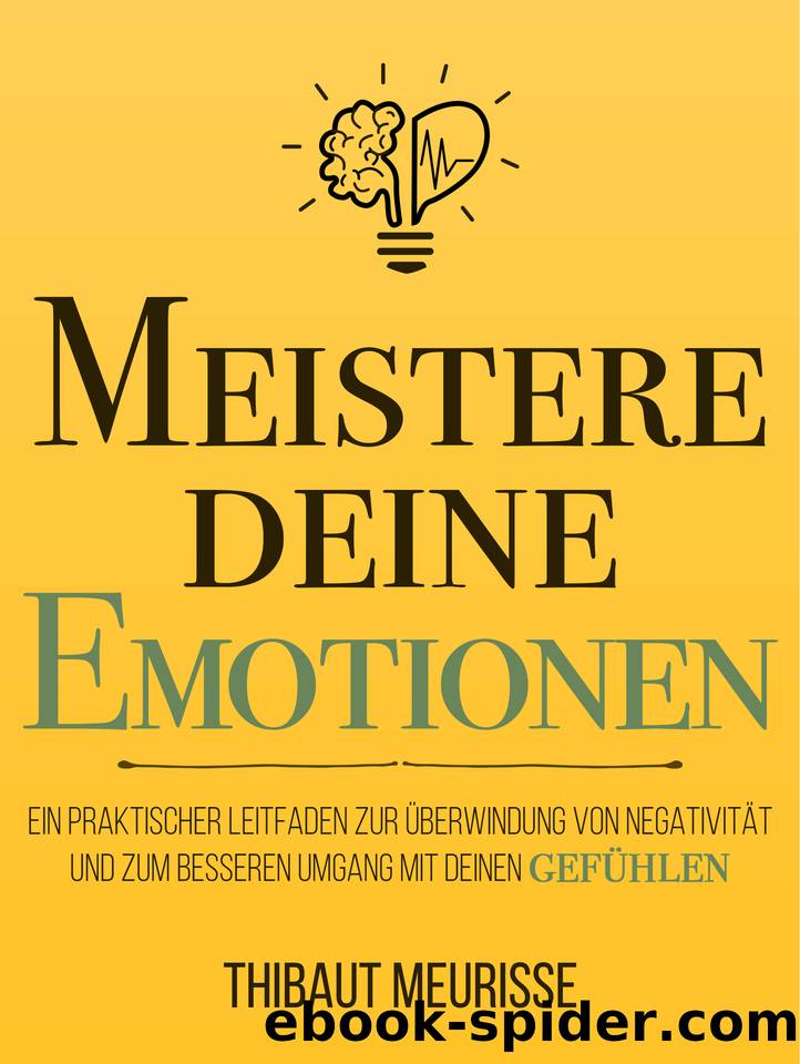 Meistere Deine Emotionen: Ein praktischer Leitfaden zur Überwindung von Negativität und zum besseren Umgang mit deinen Gefühlen (German Edition) by Meurisse Thibaut