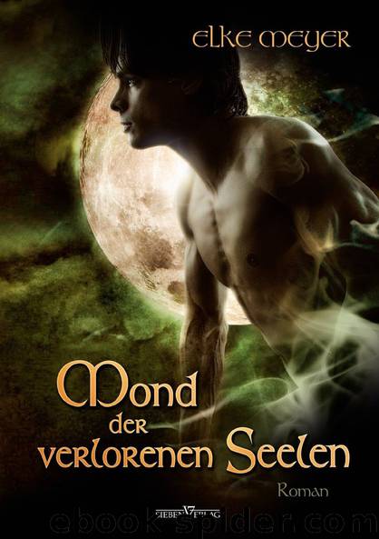 Mond der verlorenen Seelen by Meyer Elke