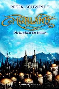 Morland 1: Die Rückkehr der Eskatay by Peter Schwindt