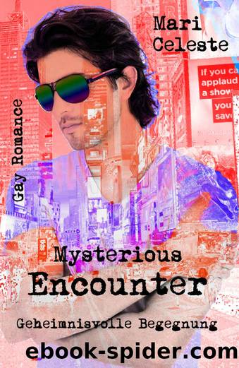 Mysterious Encounter: Geheimnisvolle Begegnung (German Edition) by Mari Celeste