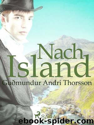 Nach Island by Guðmundur Andri Thorsson