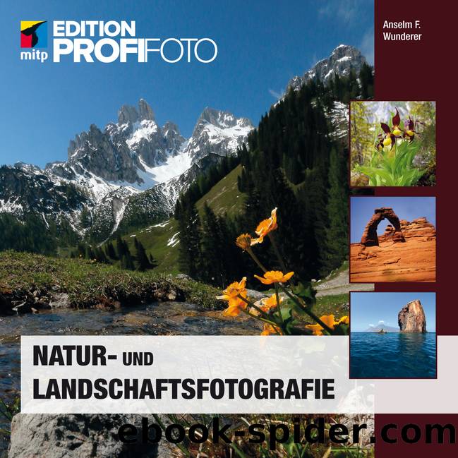 Natur- und Landschaftsfotografie (mitp Edition ProfiFoto) by Anselm Wunderer