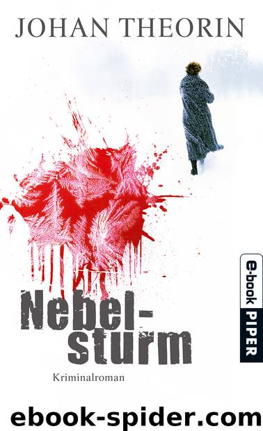 Nebelsturm by Johan Theorin