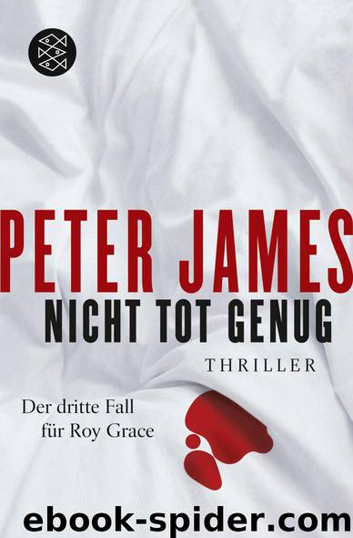 Nicht tot genug by James Peter