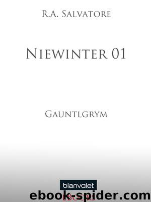 Niewinter 01 - Salvatore, R: Niewinter 01 - Gauntlgrym by Salvatore R. A