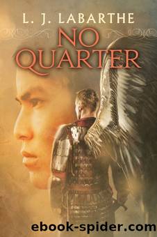 No Quarter by L.J. LaBarthe