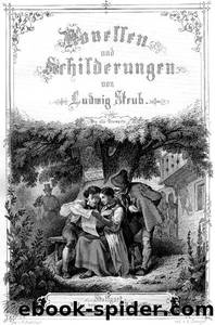 Novellen und Schilderungen by Ludwig Steub