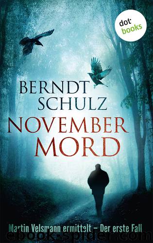 Novembermord by Berndt Schulz