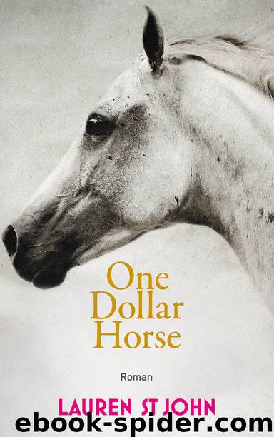 One Dollar Horse by Lauren St John