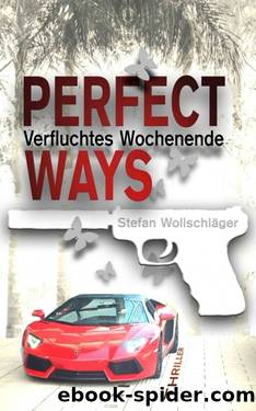 Perfect Ways by Stefan Wollschläger