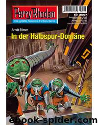 Perry Rhodan - 2507 - In der Halbspur-Domäne by Ellmer Arndt