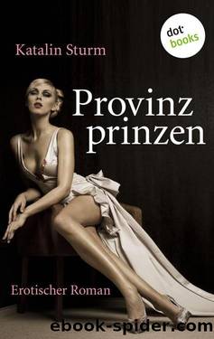 Provinzprinzen: Erotischer Roman (German Edition) by Katalin Sturm