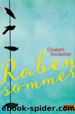 Rabensommer by Elisabeth Steinkellner