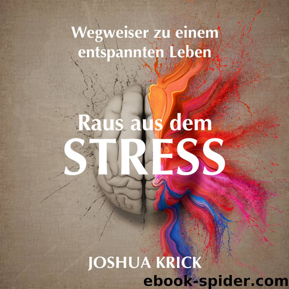 Raus aus dem Stress: Wegweiser zu einem entspannten Leben (German Edition) by Krick Joshua