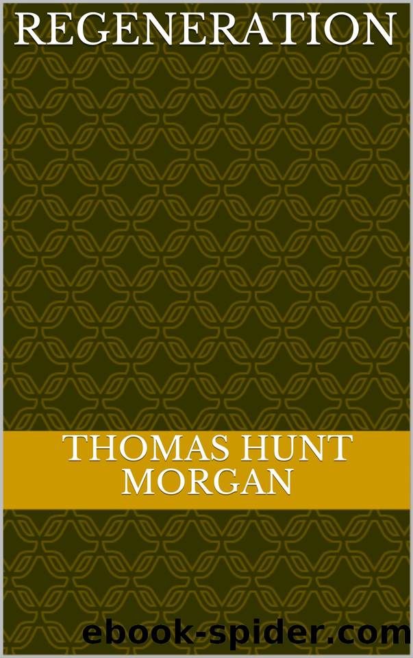 Regeneration by Morgan Thomas Hunt