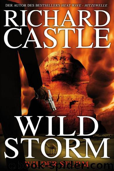 Richard Castle: Wild Storm - Wilder Sturm by Richard Castle